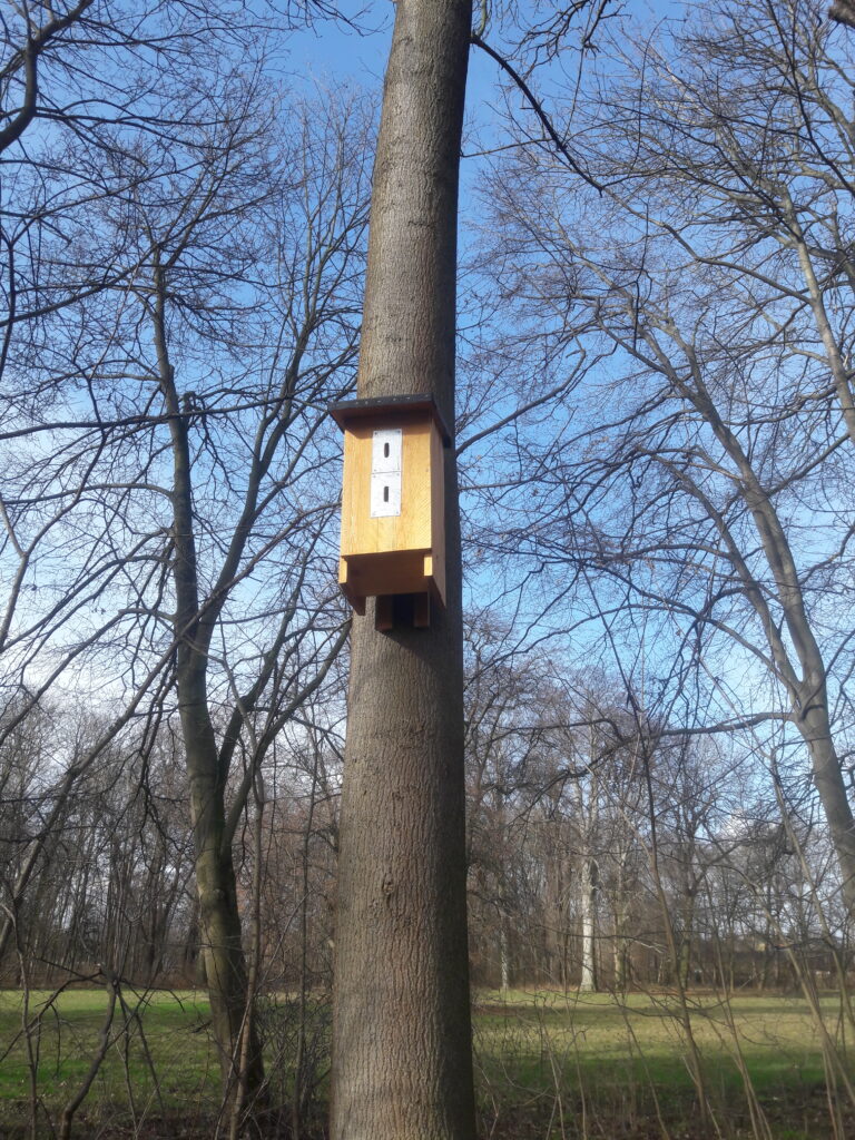 Ein Nistkasten für Vögel hängt an einem Baum im Rosental.