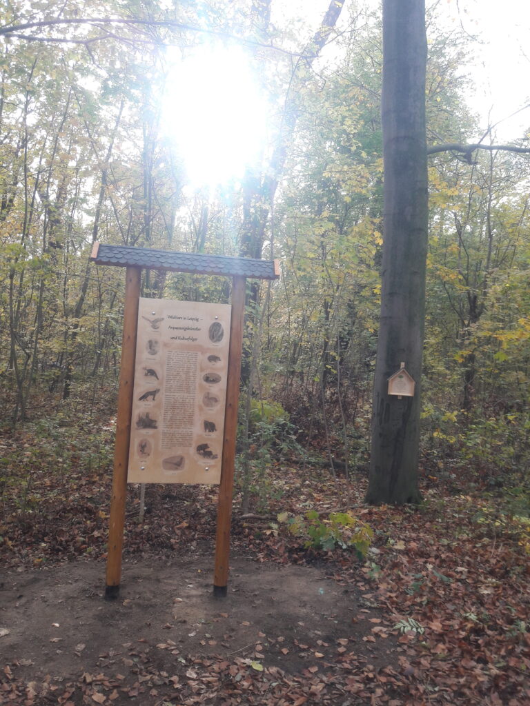Eine Hinweistafel im Leipziger Auwald klärt über in Leipzig lebende Wildtiere auf.